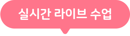 실시간 라이브 수업