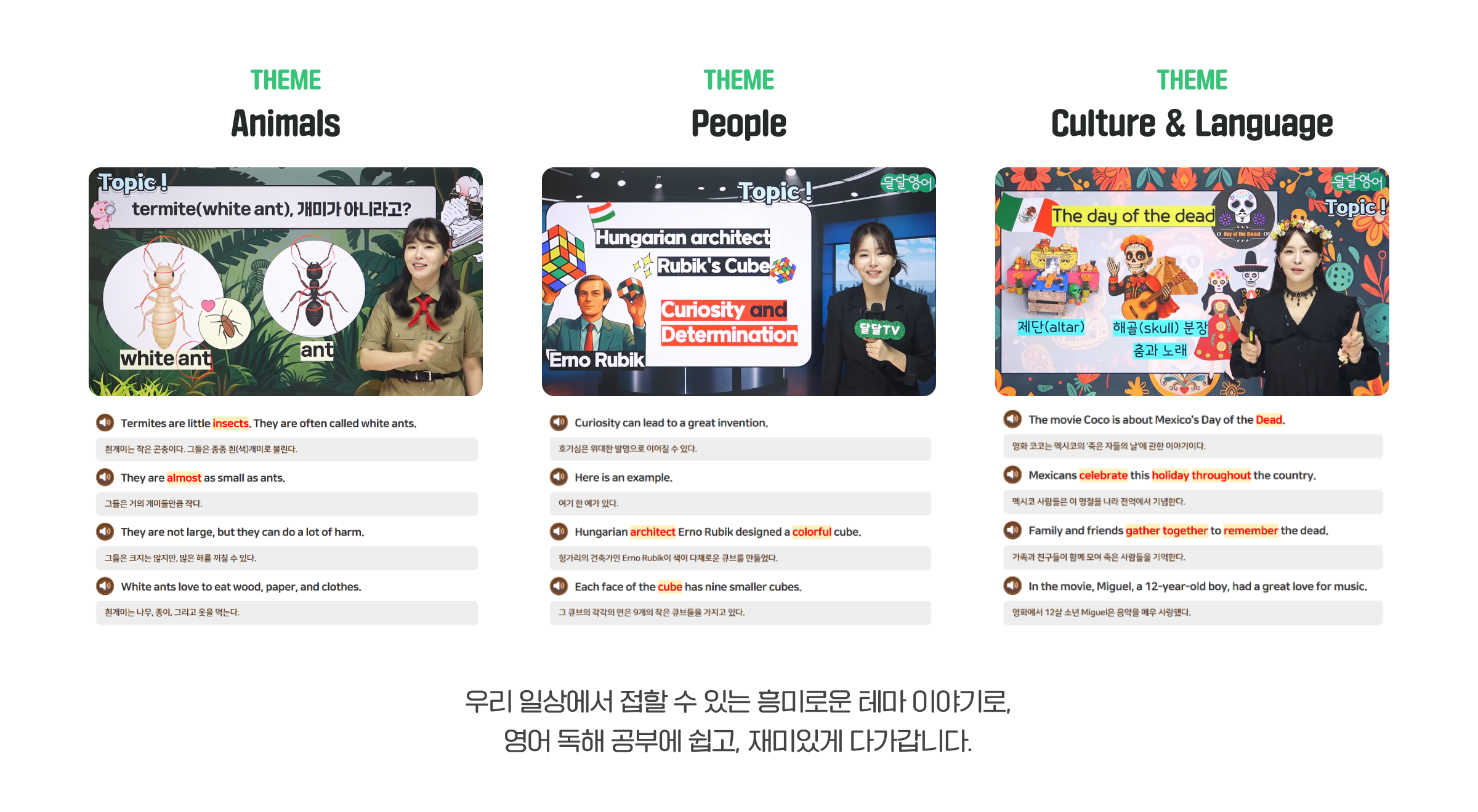 테마 독해 어드벤처 내용