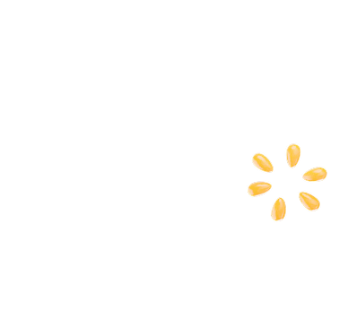 오브젝트