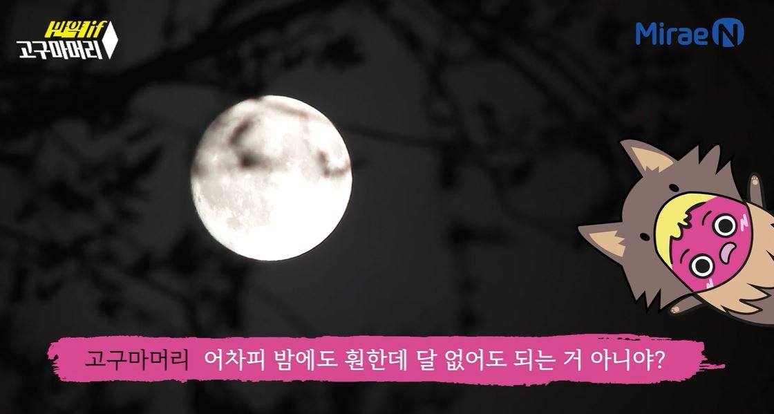 과학 특강 맛보기 4